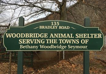 Animal_Shelter_Sign