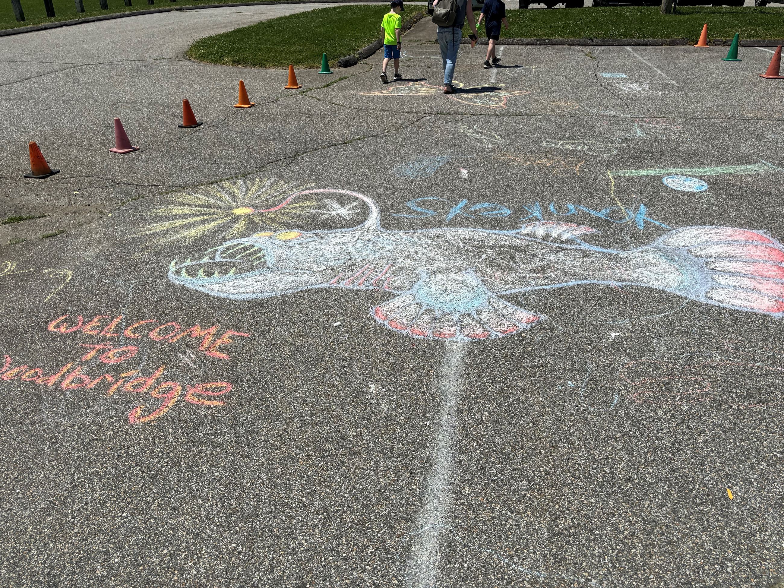 Chalk Art Picture 4